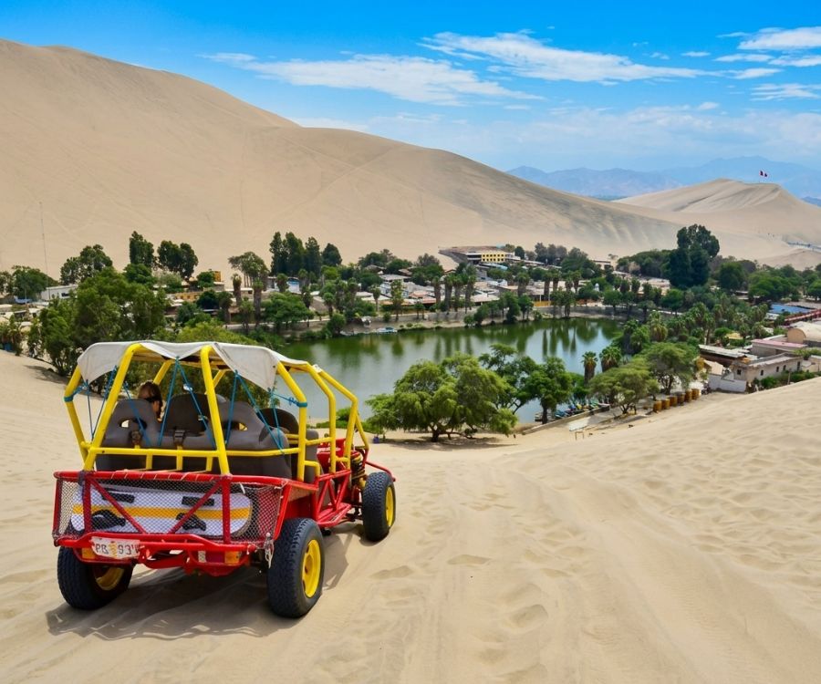 Full Day Paracas Ica - Salidas Diarias